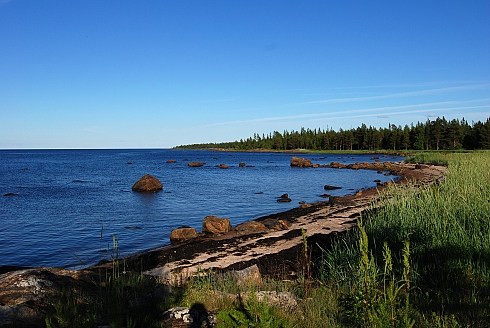 Белое море, Поньгомская губа